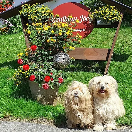 Joerg Familienwohnung Ferientraum - Ruhige Lage, Grosszuegige Mit Balkon, Hunde Willkommen * 레텐베르크